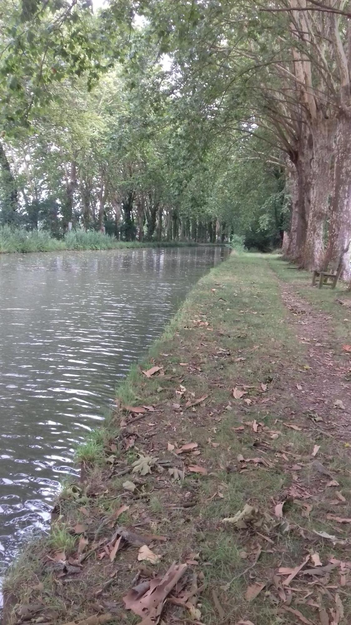 شقة Le Studio De La Casa Fourquaise Fourques-sur-Garonne المظهر الخارجي الصورة